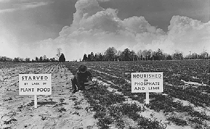 JFK talks tech at the World Food Congress